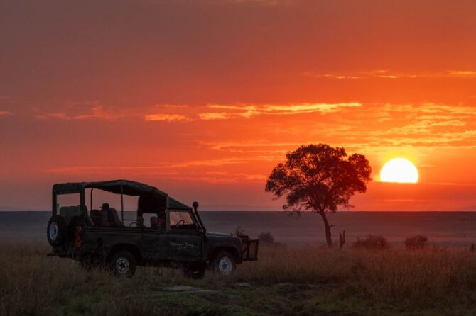 Masai Mara weather and wildlife June 2023 - The Governors Camp