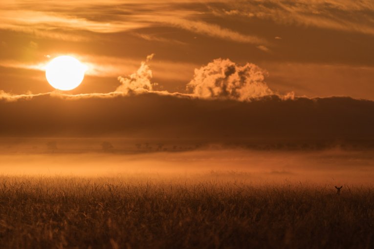 Sunrise Masai Mara Kenya