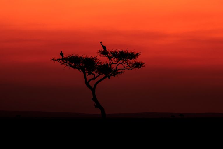 Sunrise Masai Mara