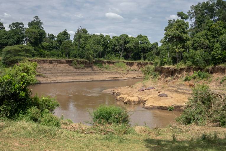 Mara River