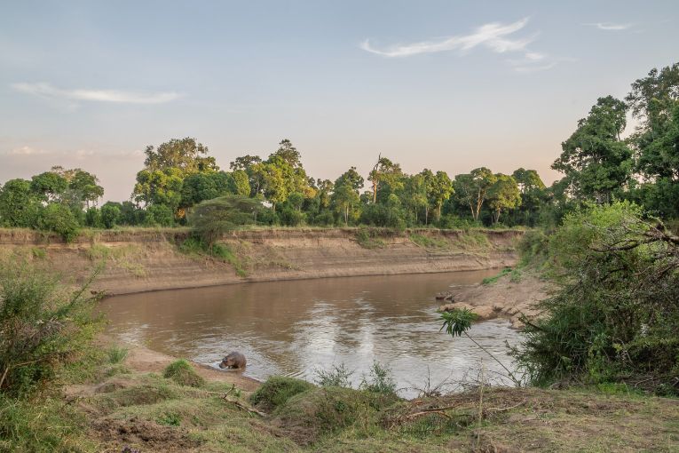 Mara River 