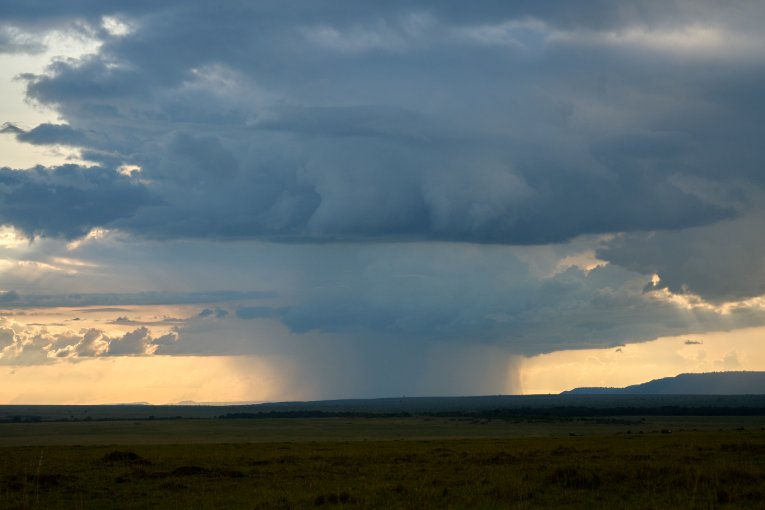 Rain shower on the Mara plains 