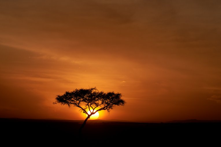 Sunrise Masai Mara