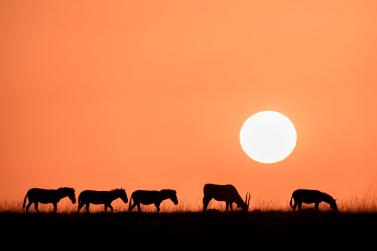 Sunrise Masai Mara 