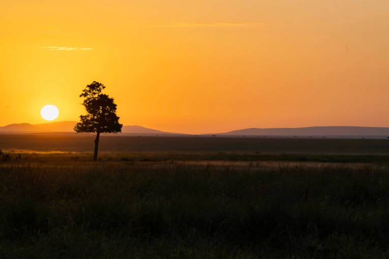 Sunrise Masai Mara