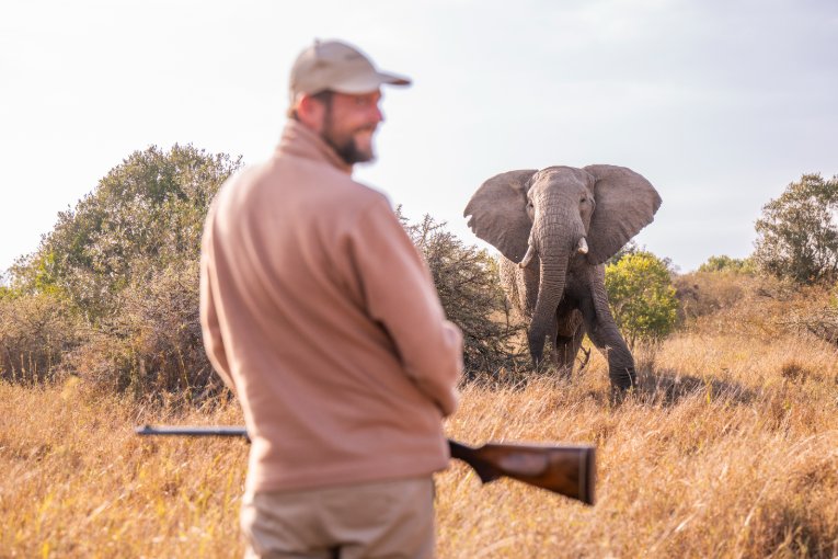 The Art and Soul of Walking Safaris - The Governors Camp