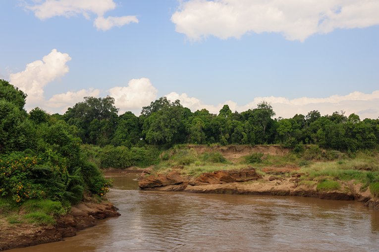 The Mara River