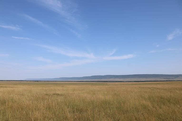 Masai Mara in July