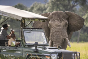Governors' Camp Safari Vehicle
