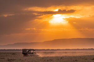 Sunset in the Masai Mara