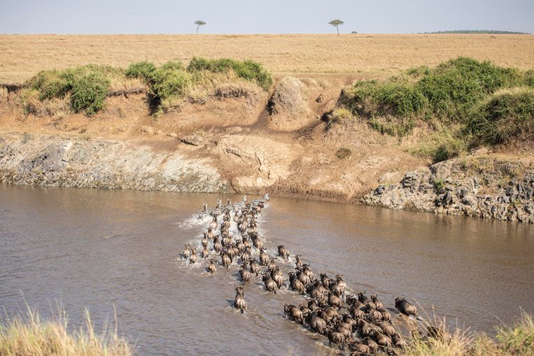 Great Migration