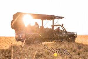 Safari Masai Mara
