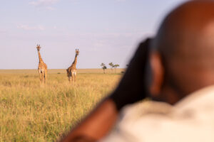 Game drive in the Masai Mara