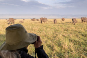Game Drive in the Masai Mara