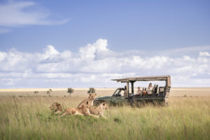 Game drive in the Masai Mara