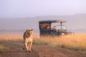 Game drive in the Masai Mara