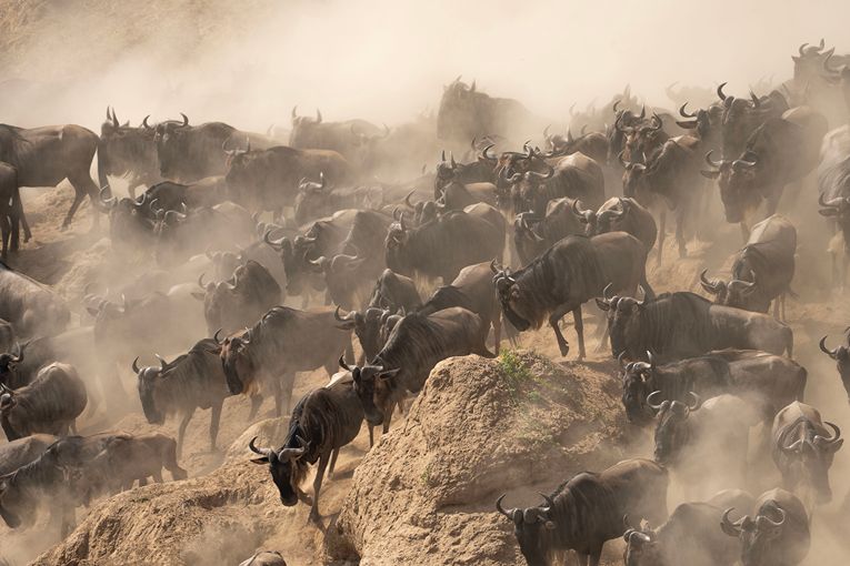Great Migration