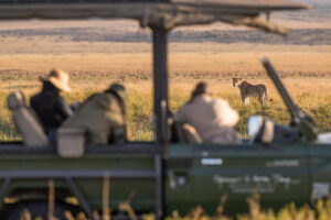 Guests on a game drive at Masai Mara