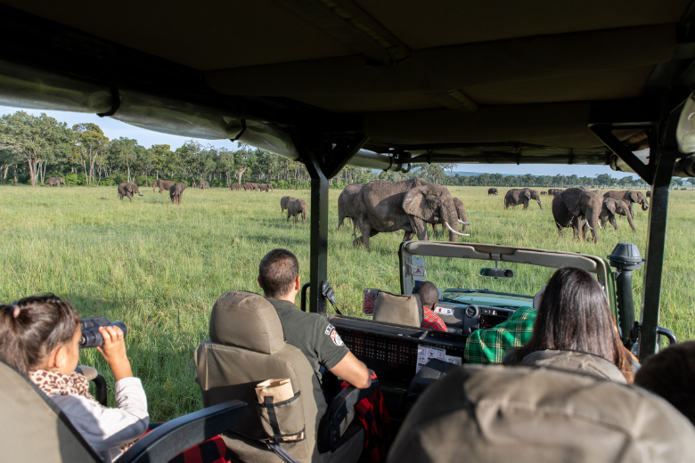 Masai Mara Safari