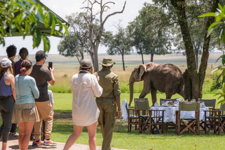 Governors' Camp - Masai Mara