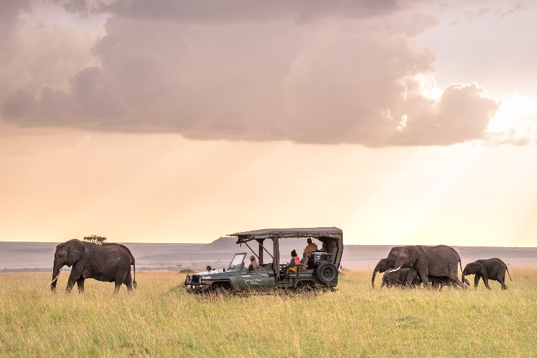 Safari in Masai Mara