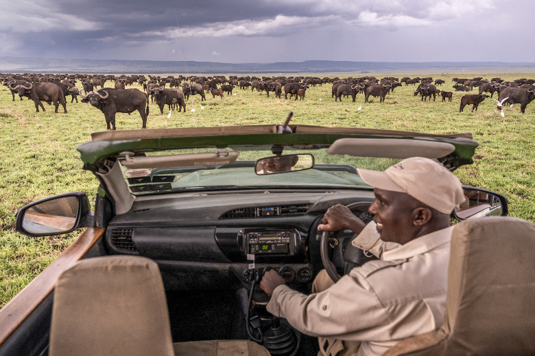 Masai Mara Safari