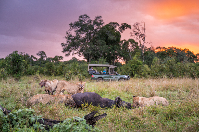 Masai Mara Safari