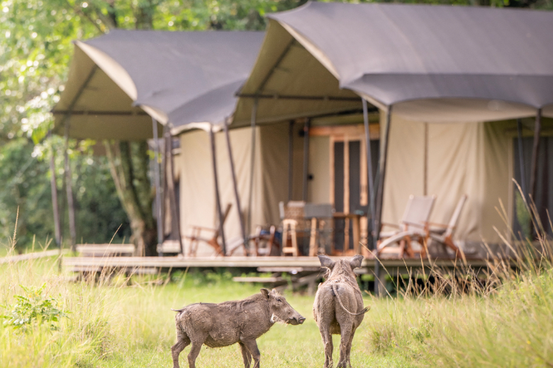 Masai Mara Safari