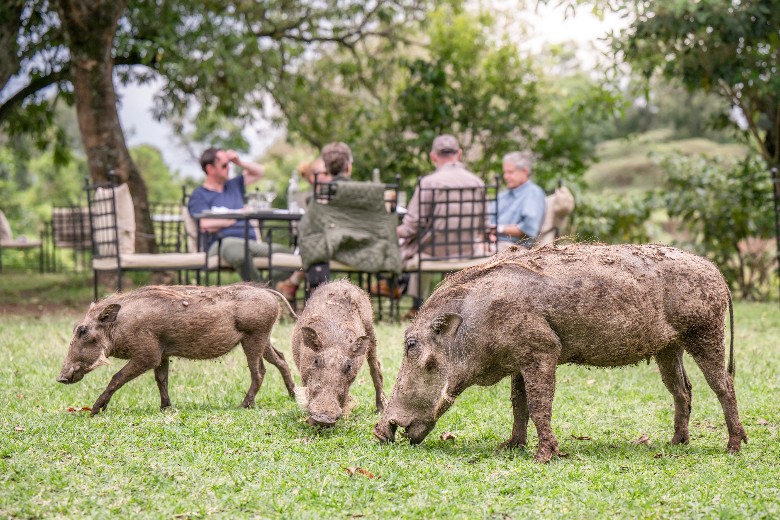 Governors' Camp Masai Mara