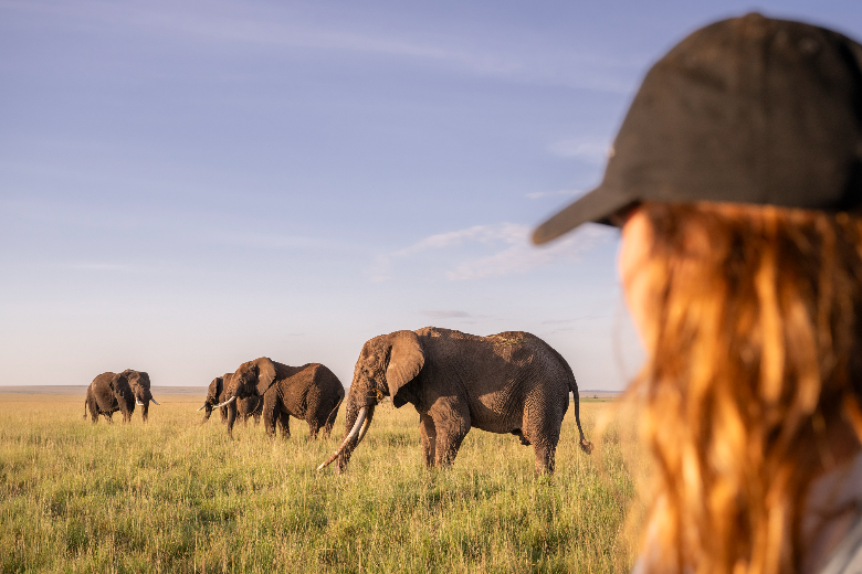 Governors' Camp - Masai Mara