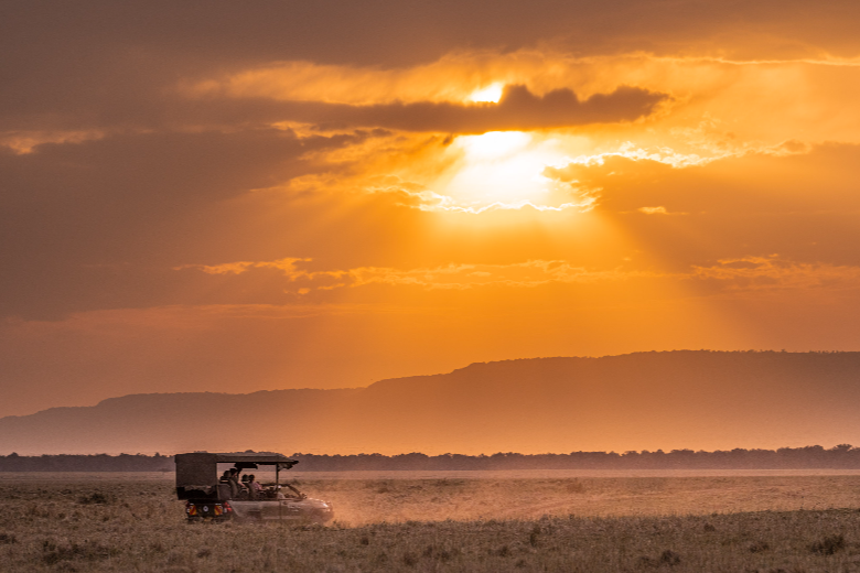 Masai Mara Safari
