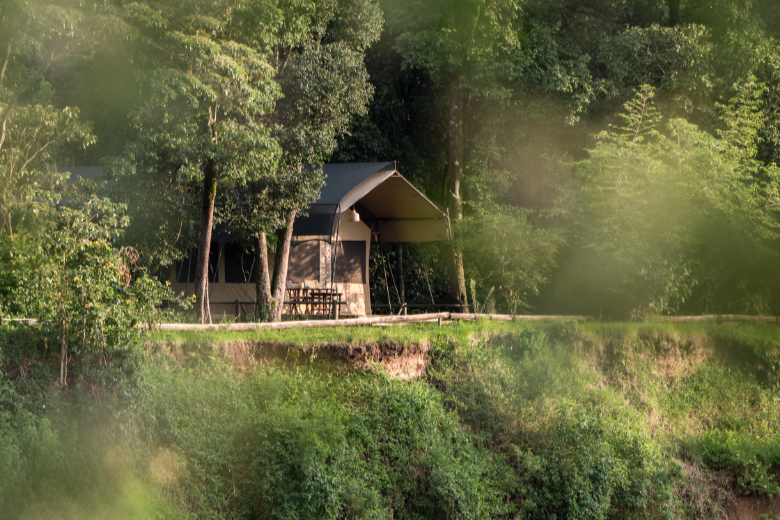 Governors' Camp - Masai Mara