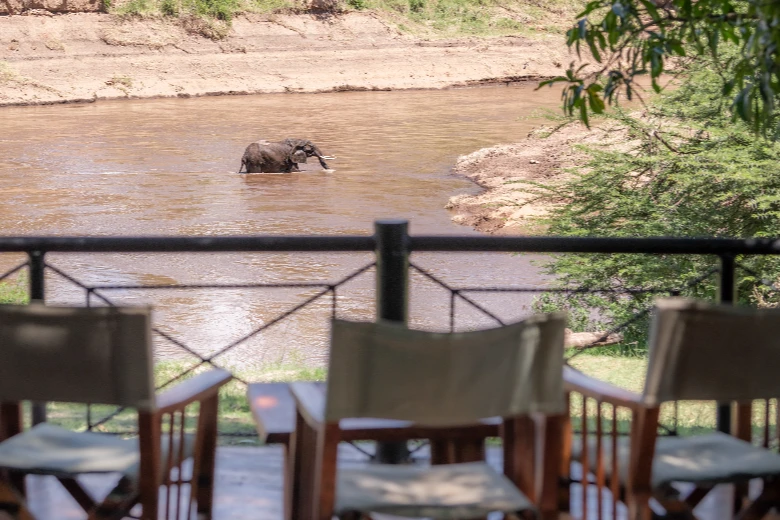 Mara River - Governors' Camp