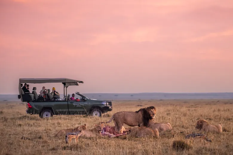 Masai Mara Safari (Marsh Pride)