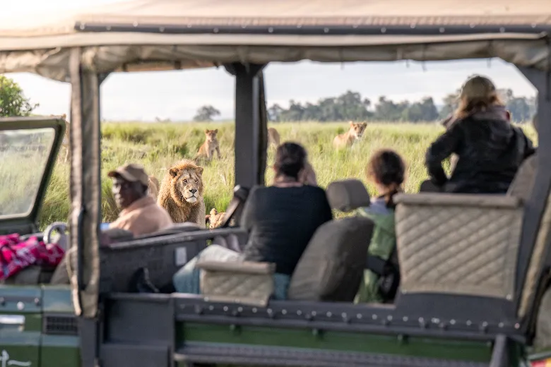 Masai Mara Safari (Game Drive)