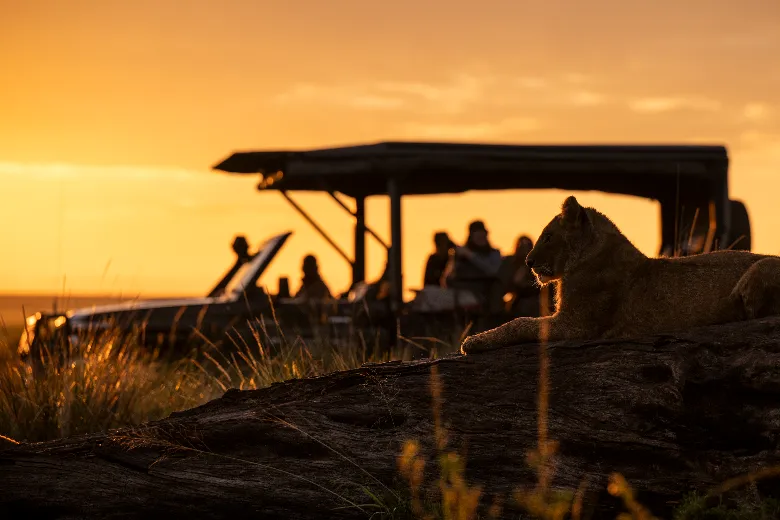 Masai Mara Safari