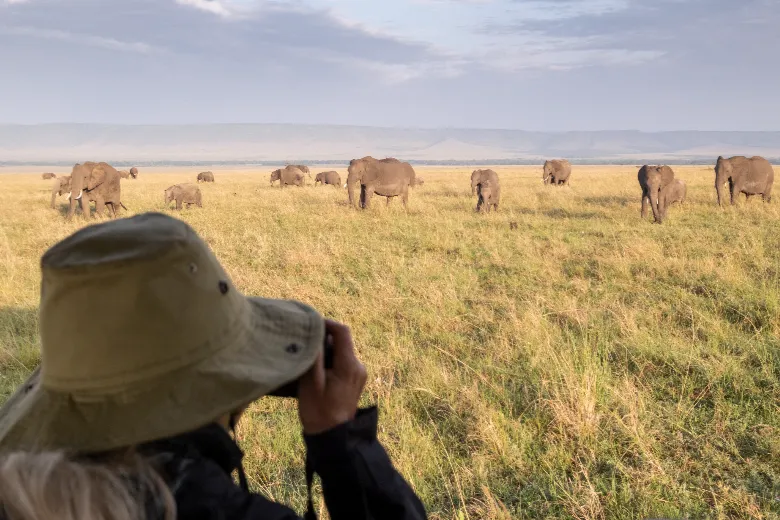 Masai Mara Safari (Game Drive)