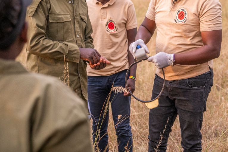 Mara Predator Programme