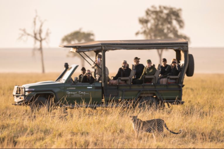 Leopard in the Mara