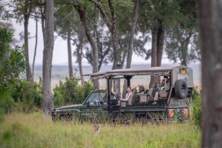 Leopard in the Mara