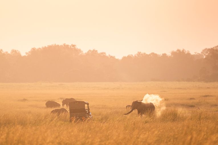 Governors' Camp Safari