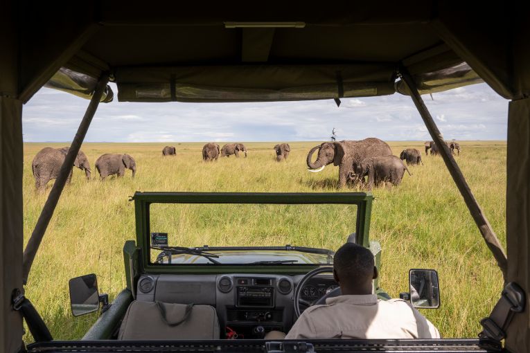 Governors' Camp Safari