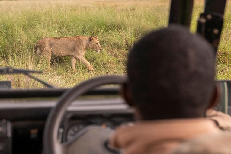 Governors' Camp Safari