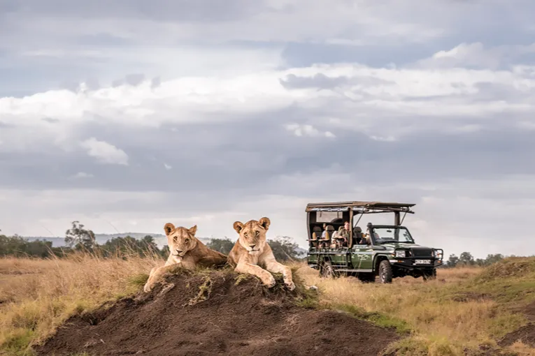 Masai Mara game drive