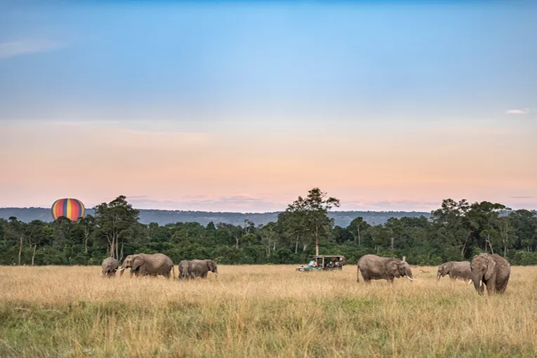 Masai Mara game drive
