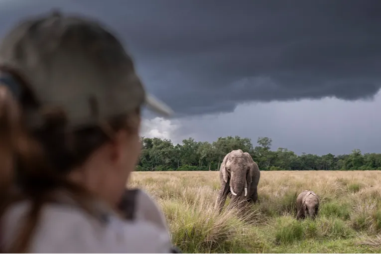 Masai Mara game drive
