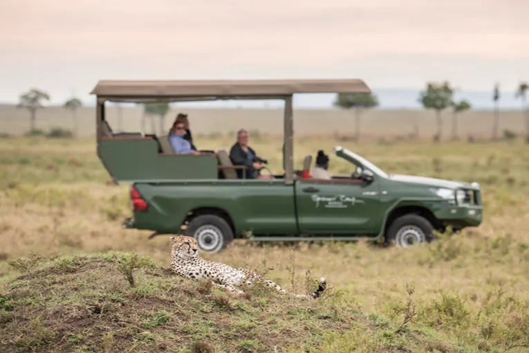 Masai Mara game drive