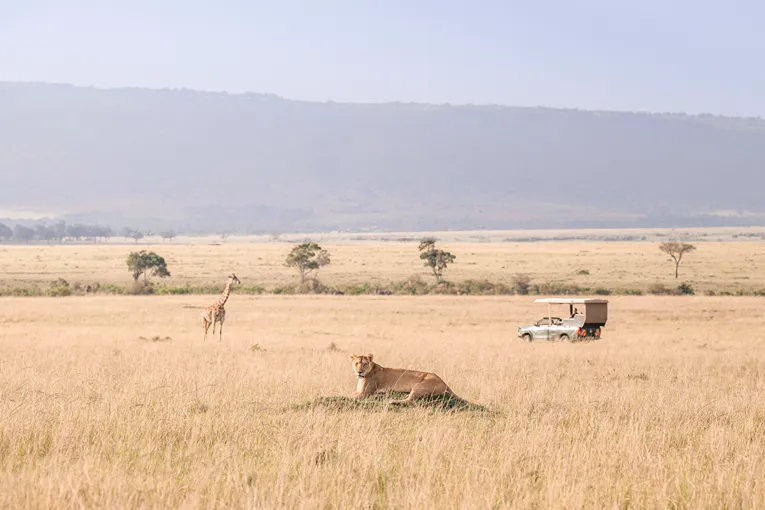 Masai Mara Safari