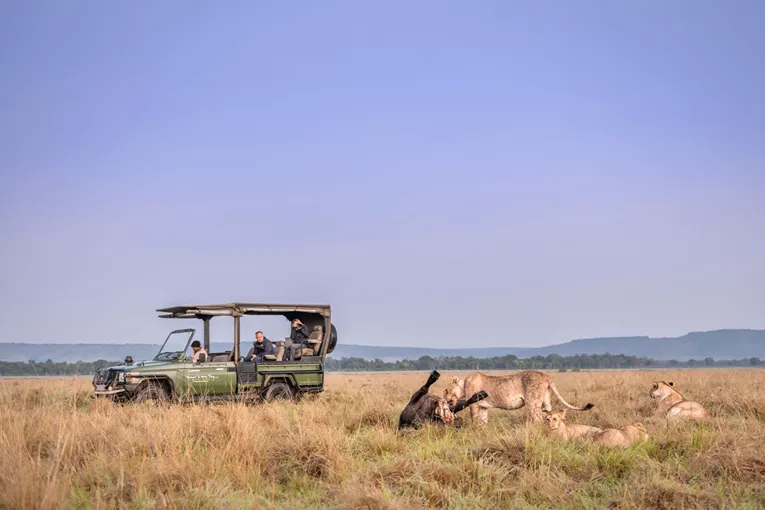 Masai Mara game drive