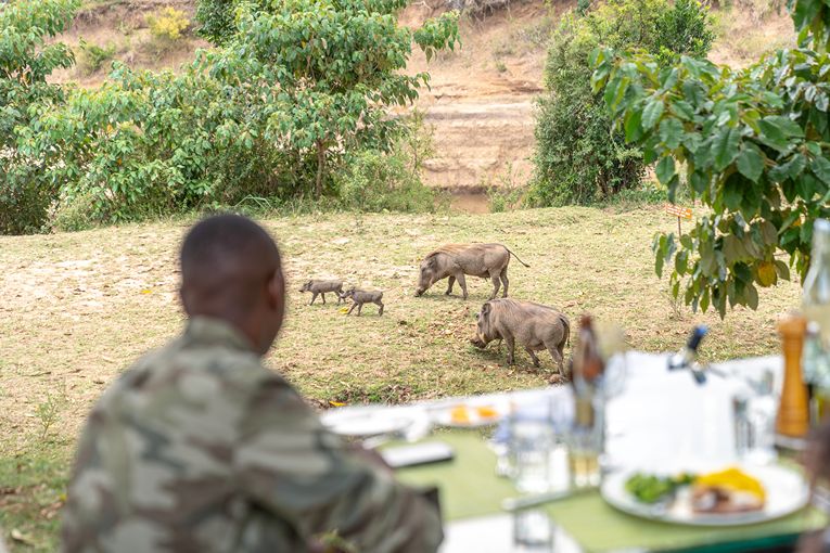 Governors' Camp Family Safari